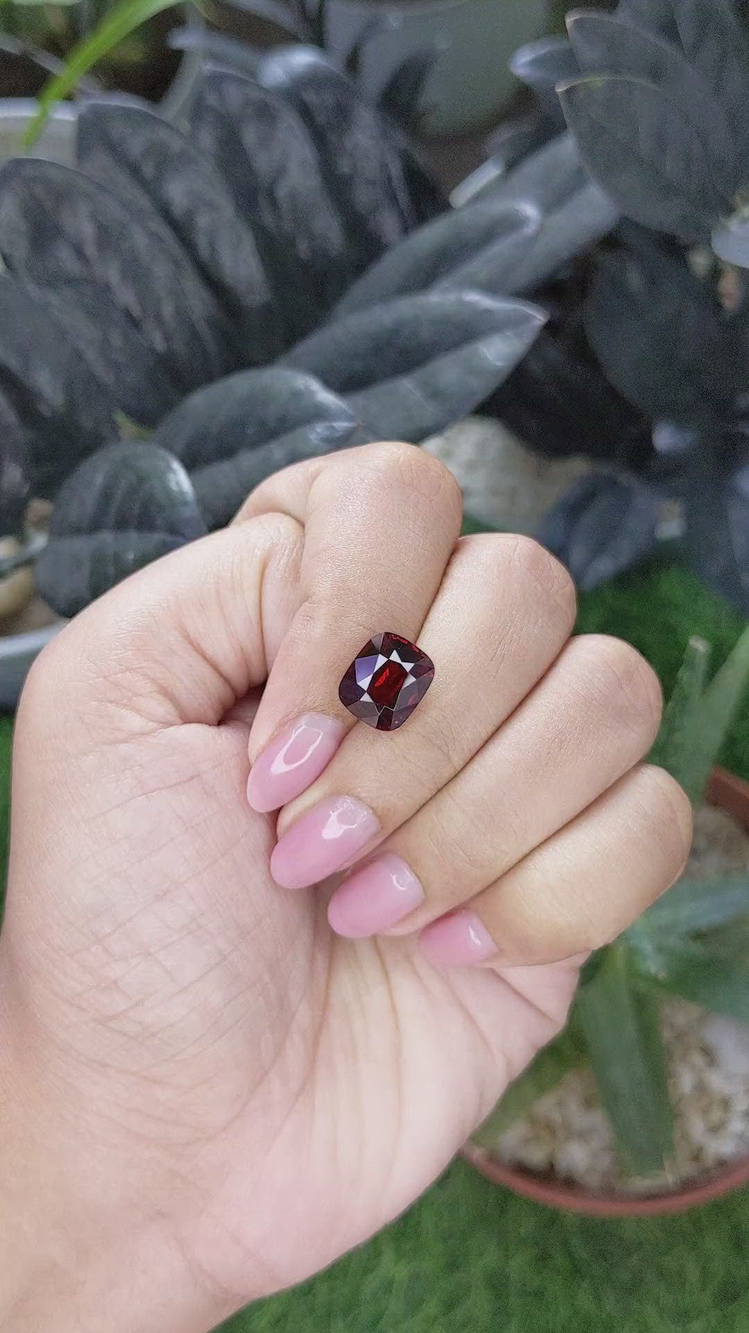 5.51 Ct. Red Garnet from Ceylon (Sri Lanka) Size Video