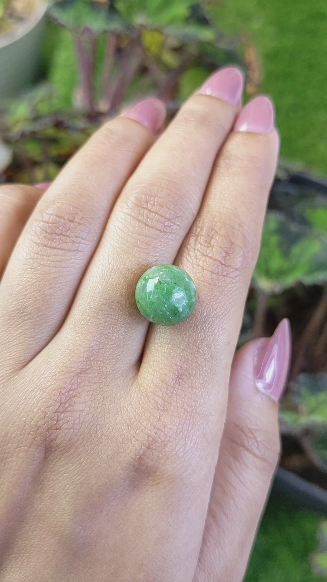 12.43 Ct. Green Jade from Burma (Myanmar) Size Video