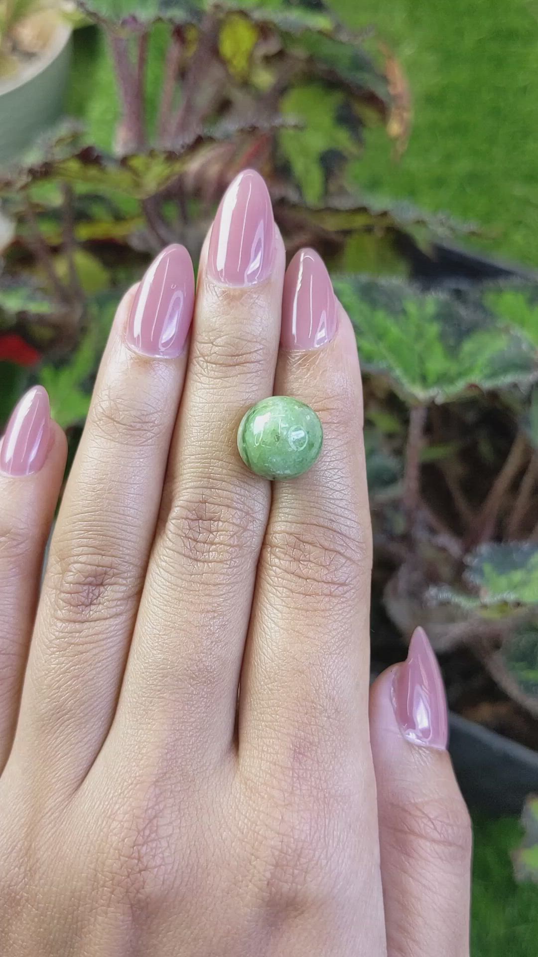 12.96 Ct. Green Jade from Burma (Myanmar) Size Video