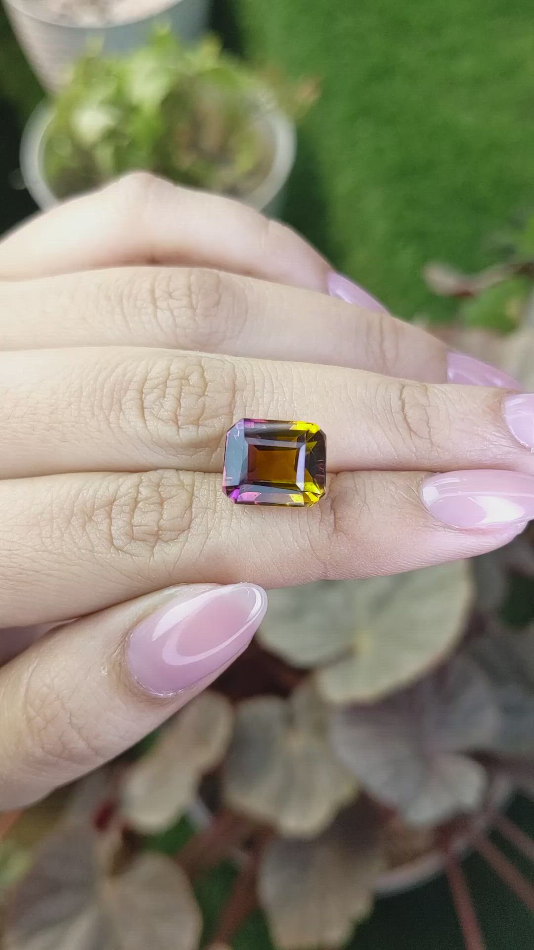 7.24 Ct. Bi Color Ametrine from Brazil Size Video