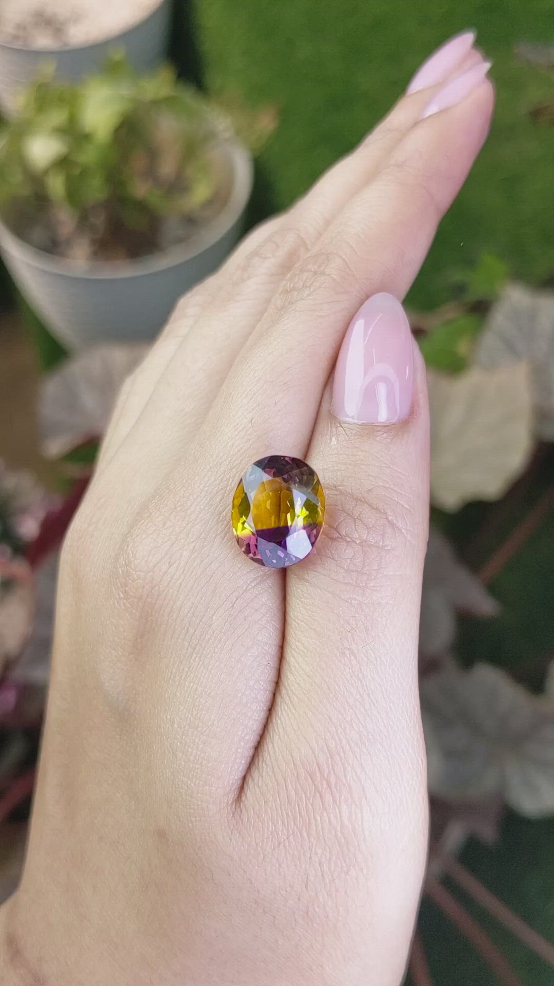 7.79 Ct. Bi Color Ametrine from Brazil Size Video