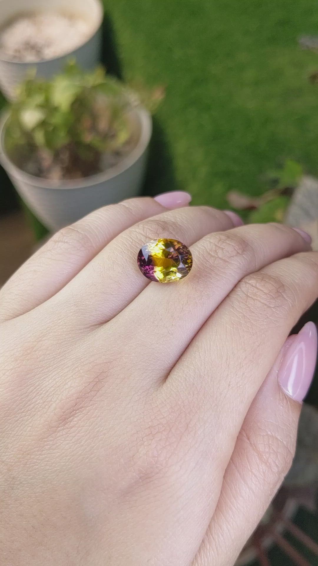 7.45 Ct. Bi Color Ametrine from Brazil Size Video