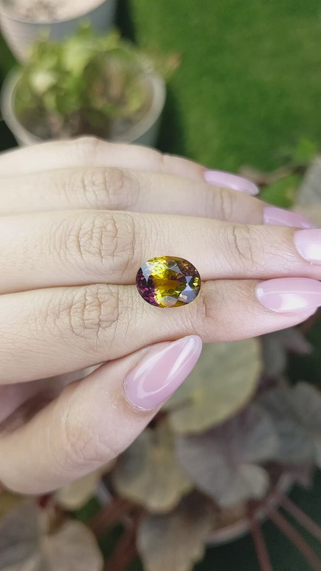 7.45 Ct. Bi Color Ametrine from Brazil Size Video