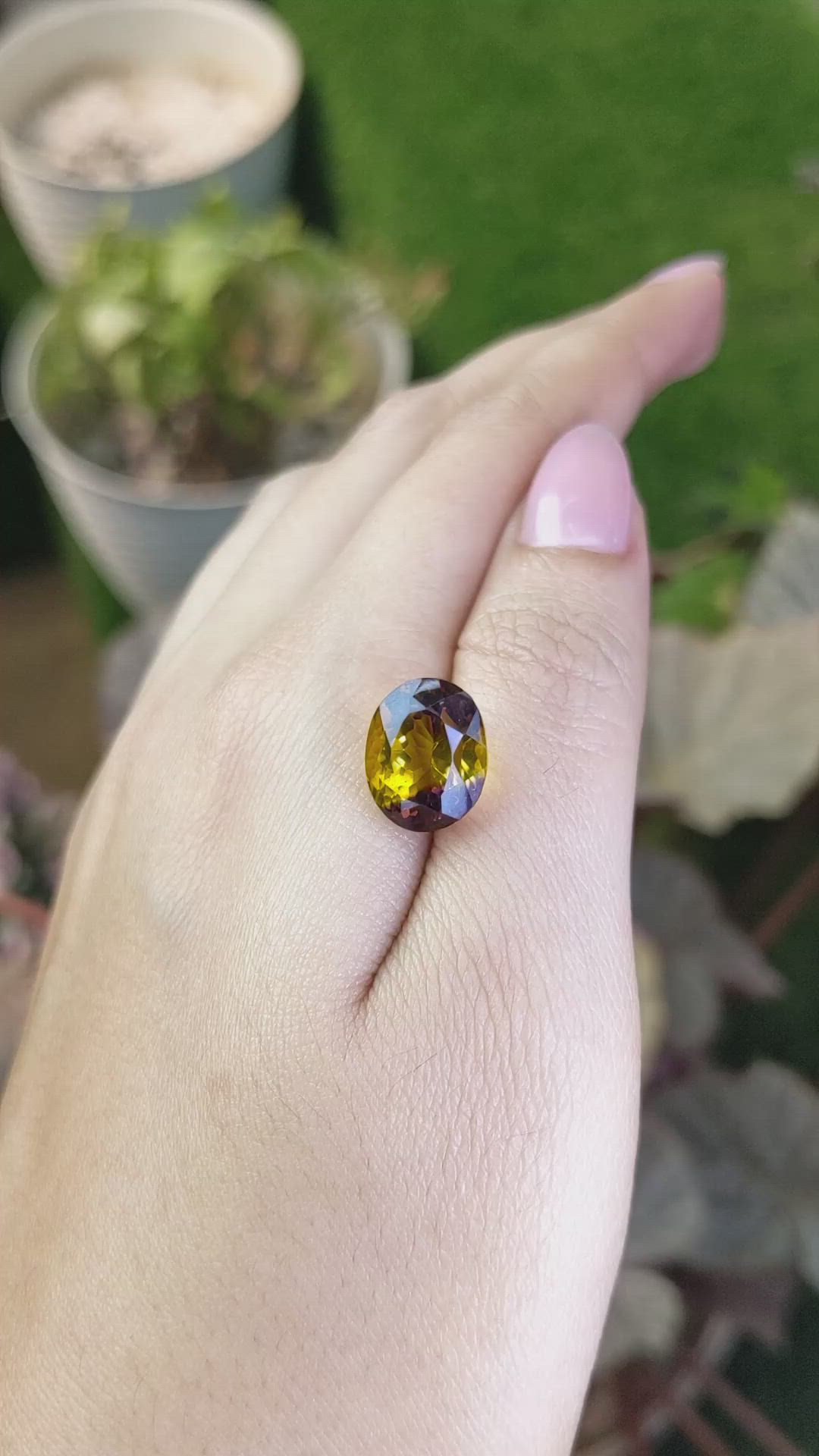 7.45 Ct. Bi Color Ametrine from Brazil Size Video