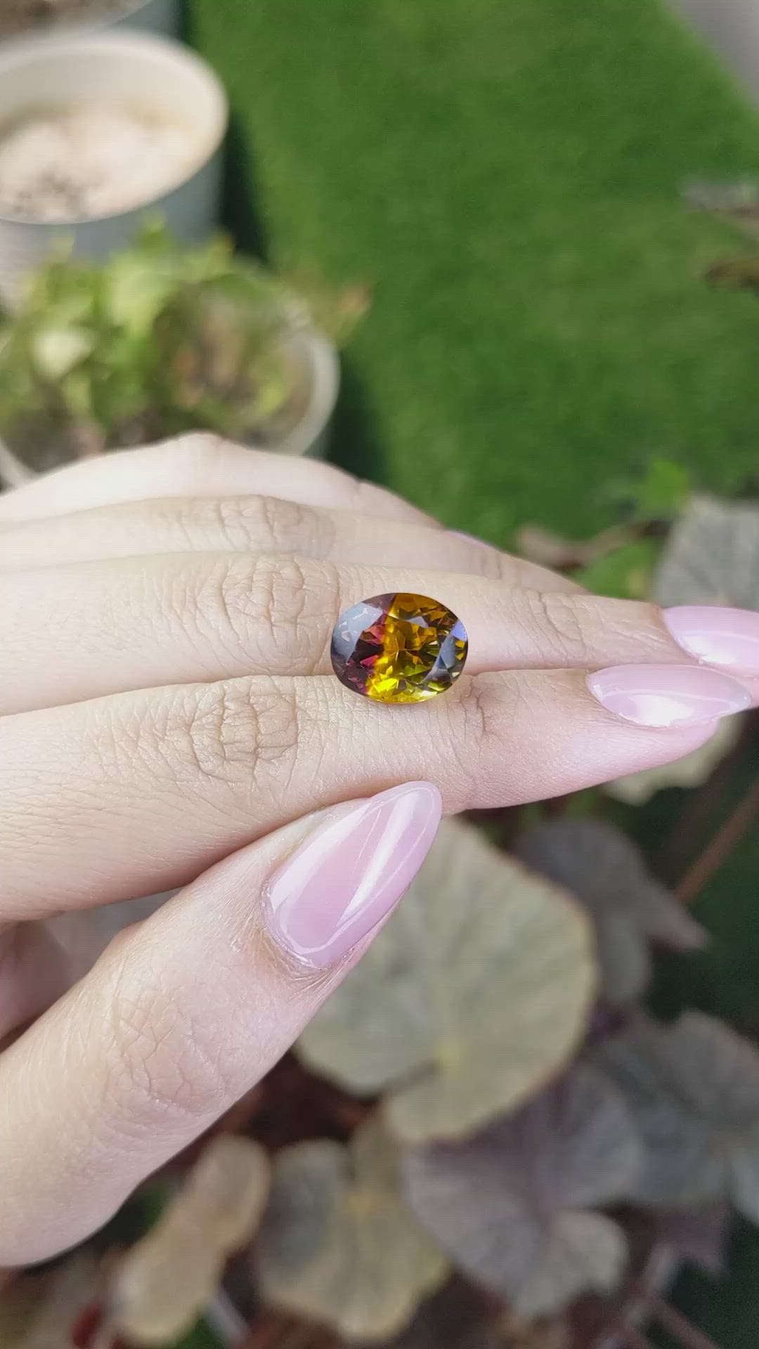 7.30 Ct. Bi Color Ametrine from Brazil Size Video