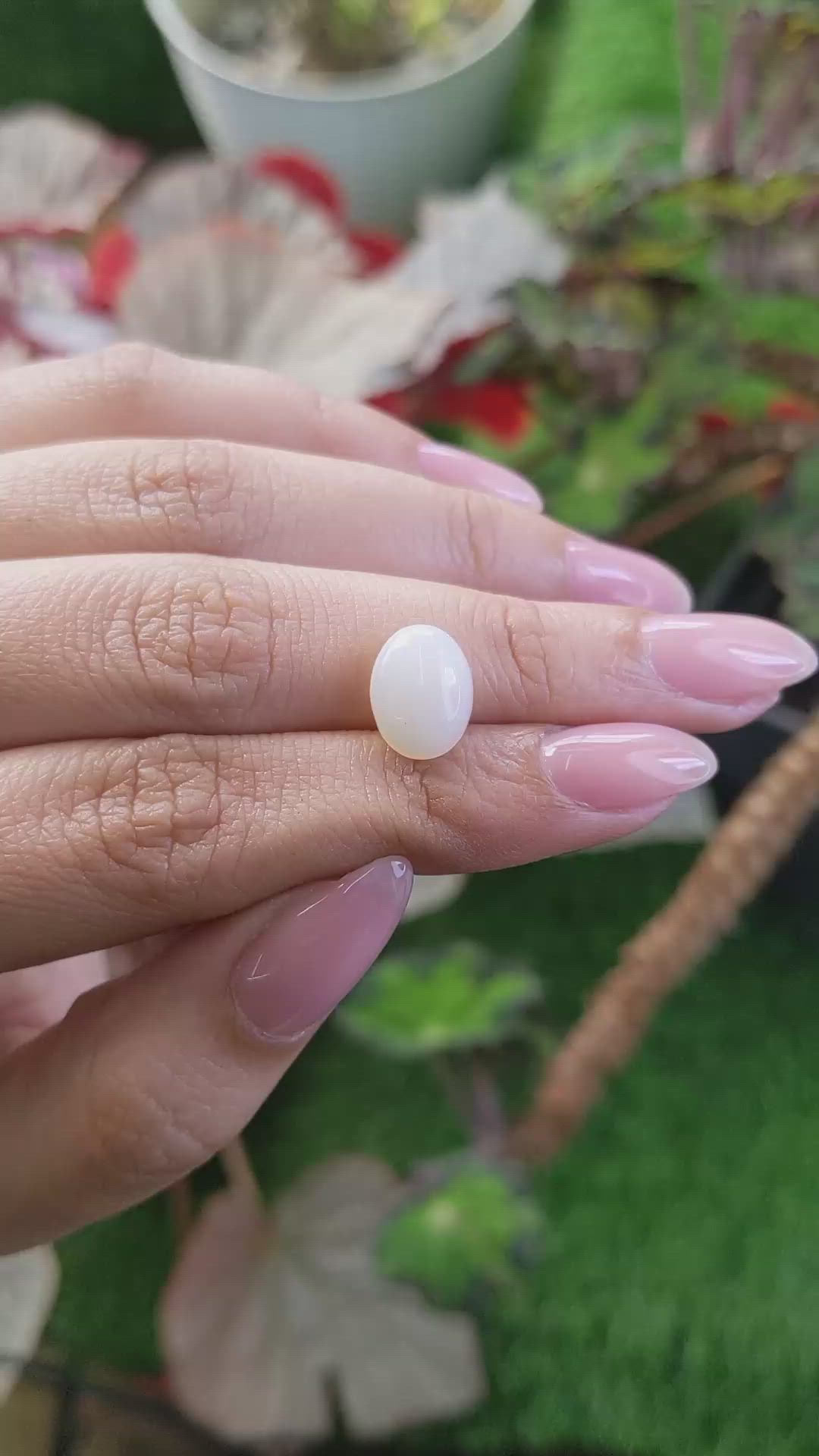2.23 Ct. Multi Color Cabochon White Opal (Light Opal) from Brazil Size Video