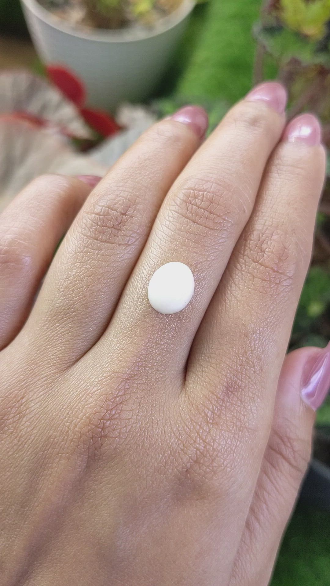 2.94 Ct. Salmon and White Cabochon Coral from Italy Size Video