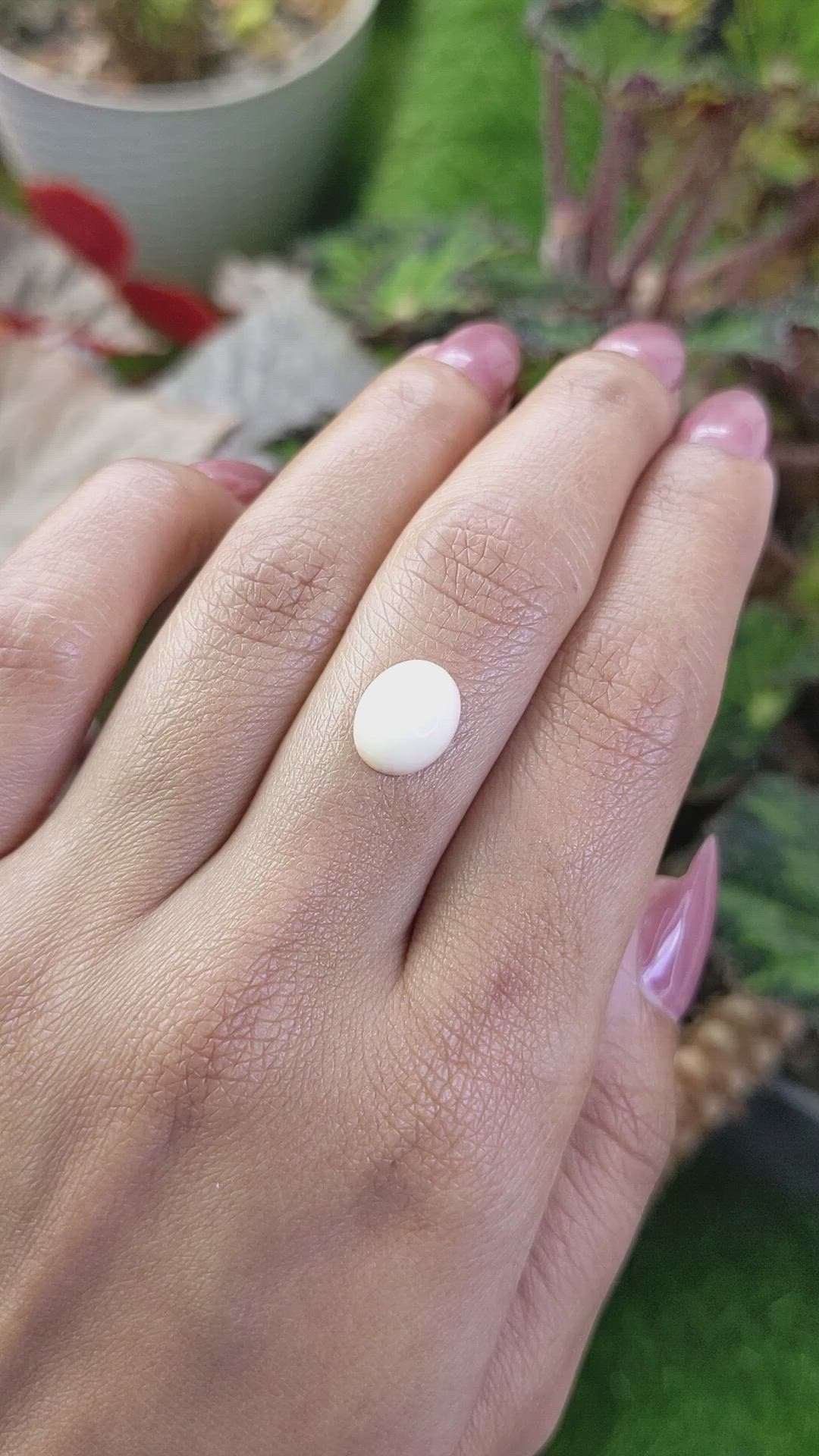 3.03 Ct. Salmon and White Cabochon Coral from Italy Size Video