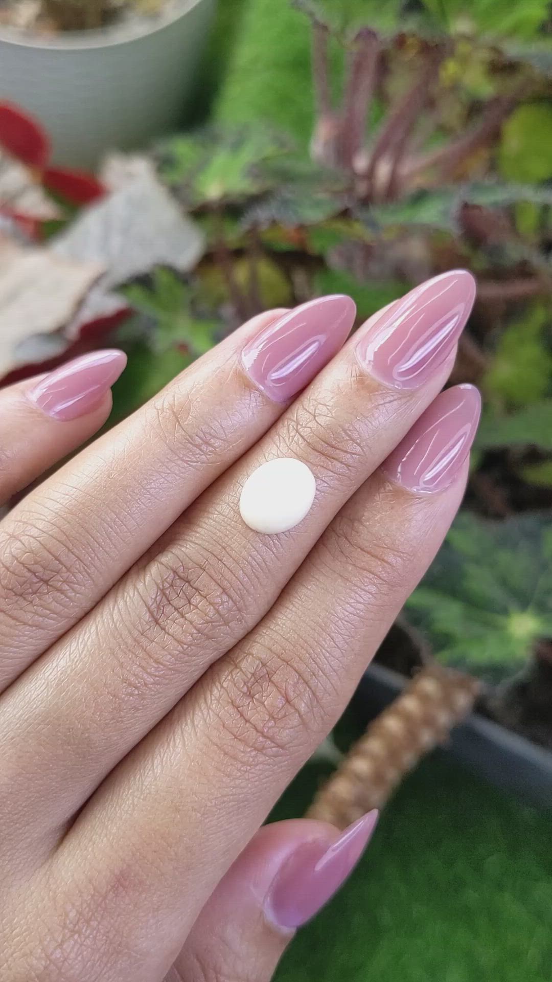 3.03 Ct. Salmon and White Cabochon Coral from Italy Size Video