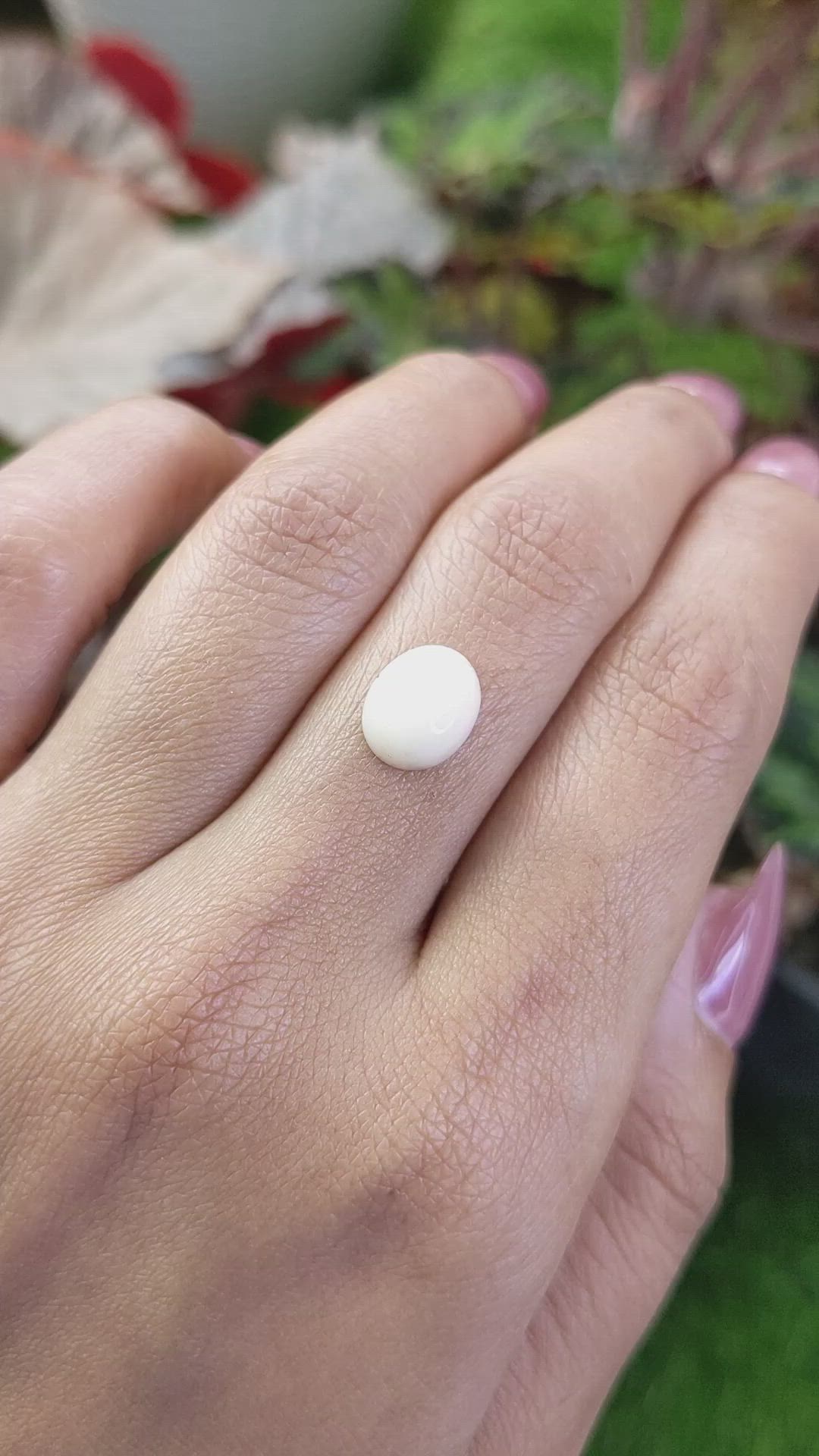2.66 Ct. Salmon and White Cabochon Coral from Italy Size Video