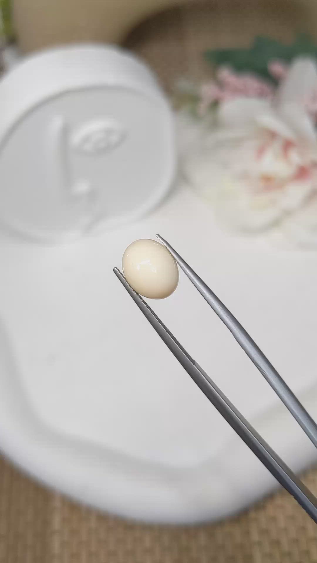 2.66 Ct. Salmon and White Cabochon Coral from Italy Size Video