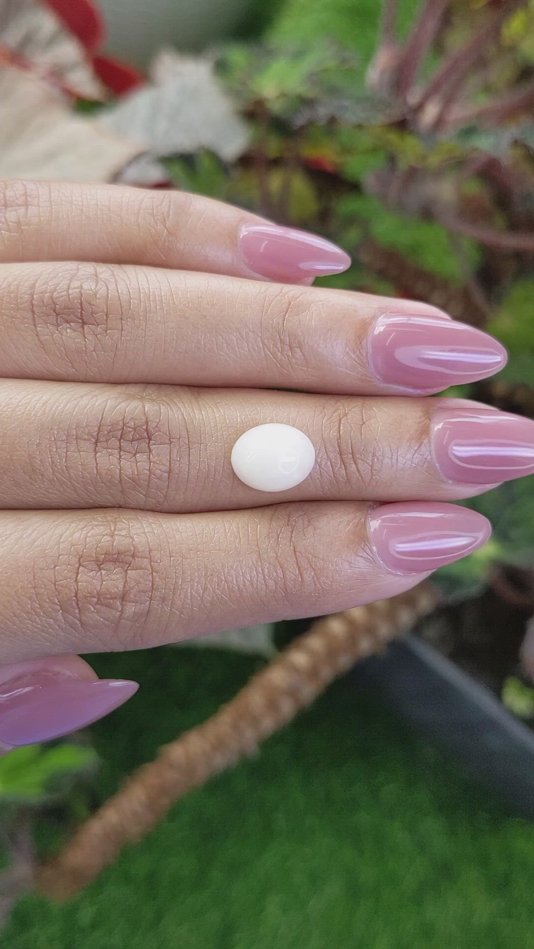 2.30 Ct. Salmon and White Cabochon Coral from Italy Size Video