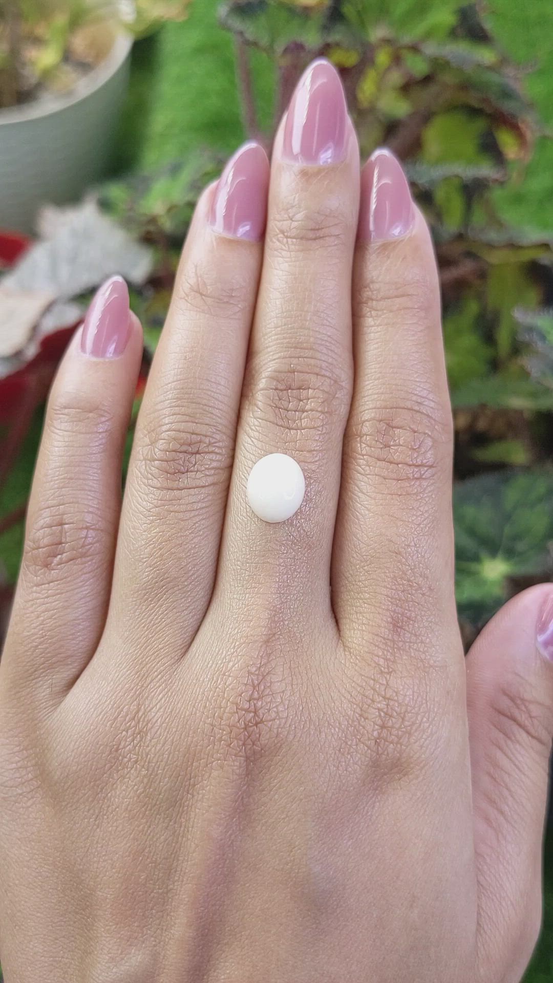 2.30 Ct. Salmon and White Cabochon Coral from Italy Size Video