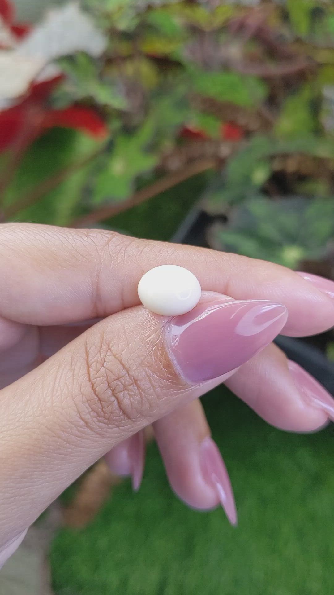 2.65 Ct. Salmon and White Cabochon Coral from Italy Size Video