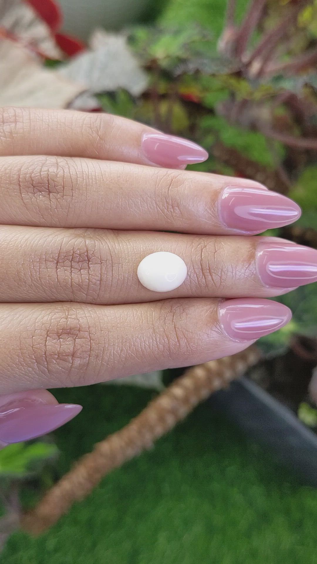 2.65 Ct. Salmon and White Cabochon Coral from Italy Size Video