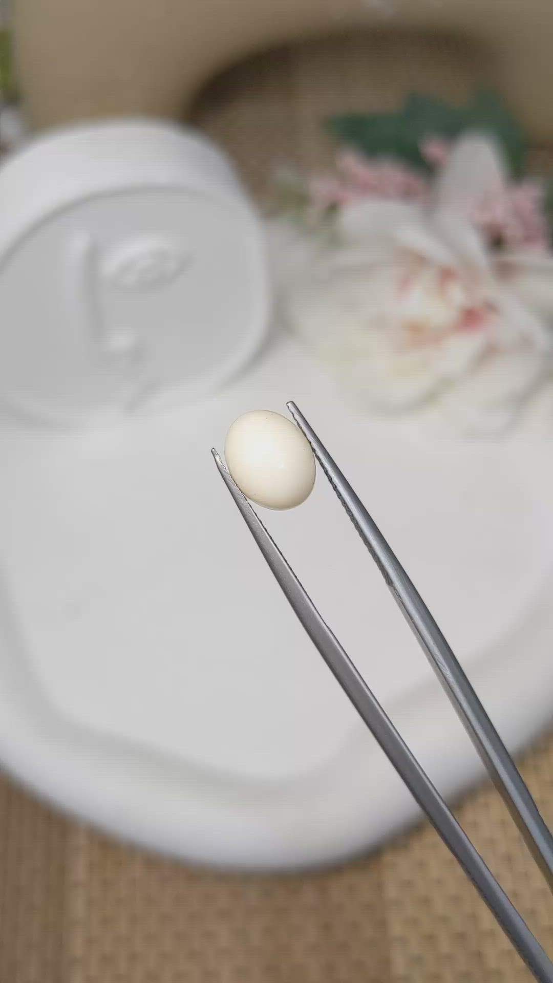 2.72 Ct. Salmon and White Cabochon Coral from Italy Size Video