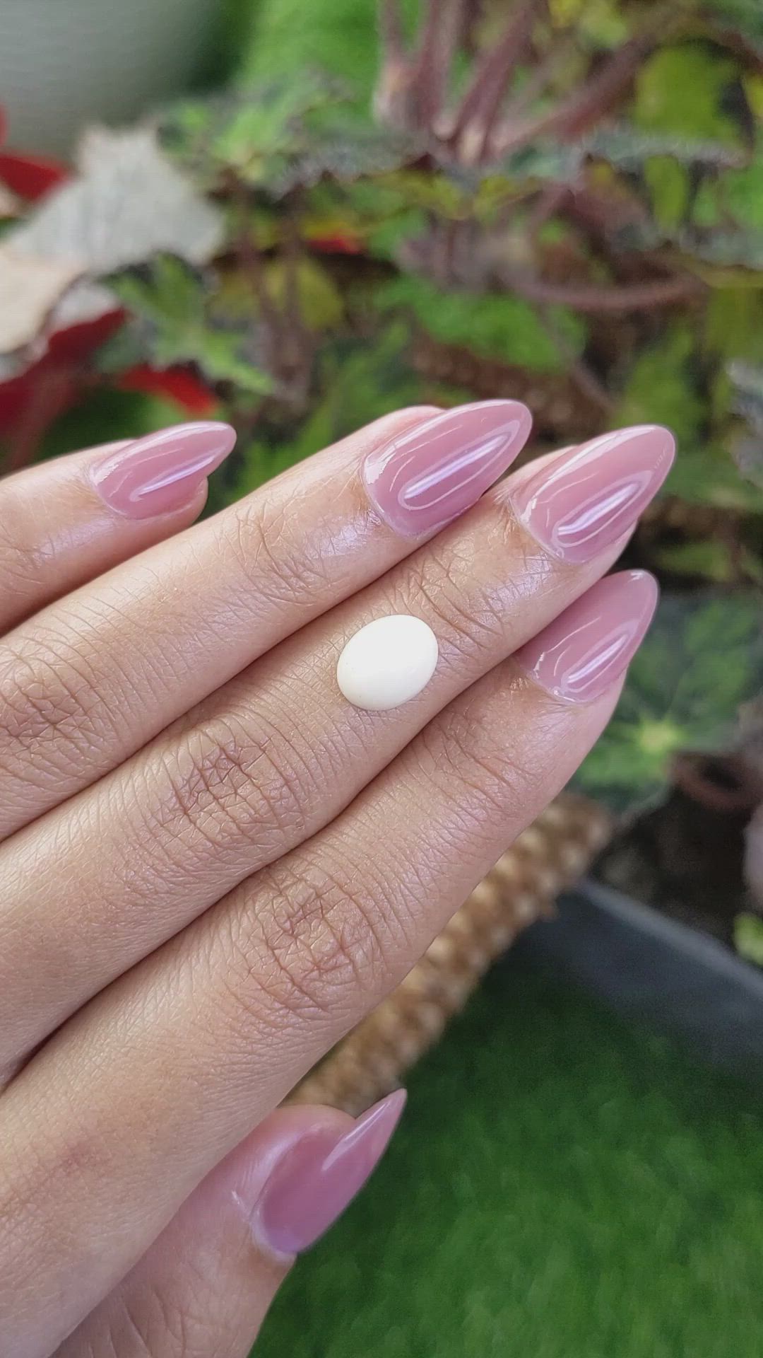 2.72 Ct. Salmon and White Cabochon Coral from Italy Size Video