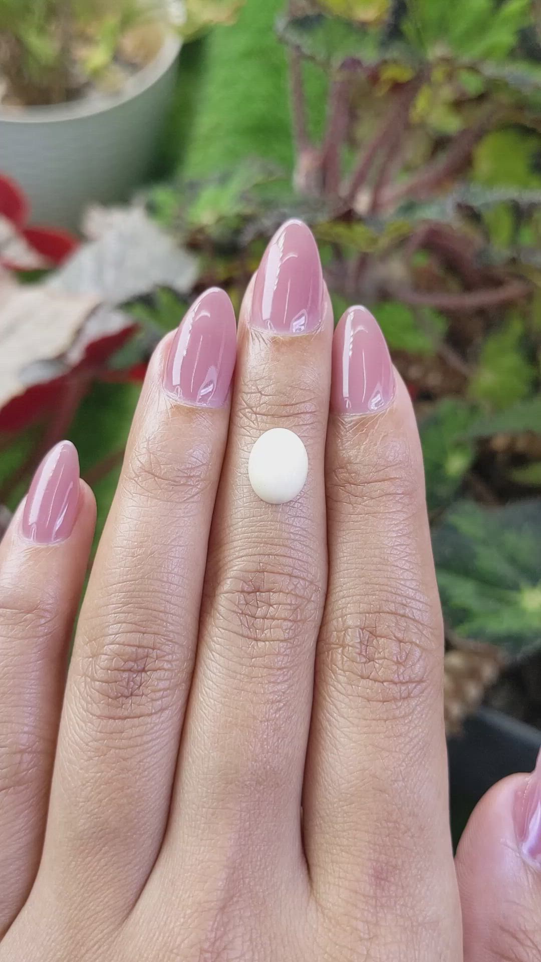 2.72 Ct. Salmon and White Cabochon Coral from Italy Size Video