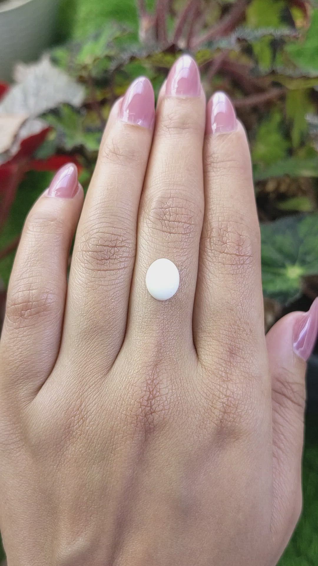 1.99 Ct. Salmon and White Cabochon Coral from Italy Size Video