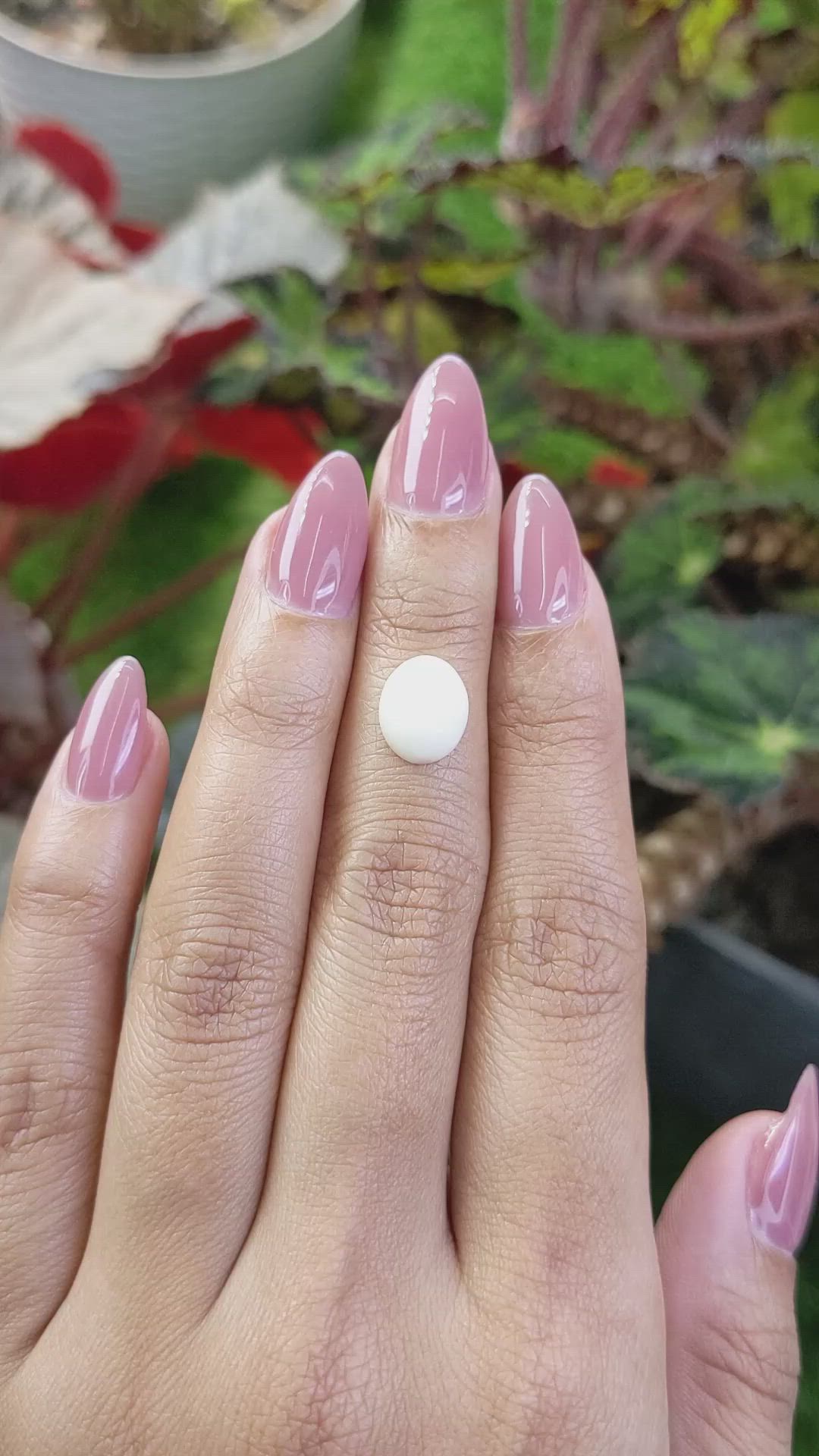 2.37 Ct. Salmon and White Cabochon Coral from Italy Size Video