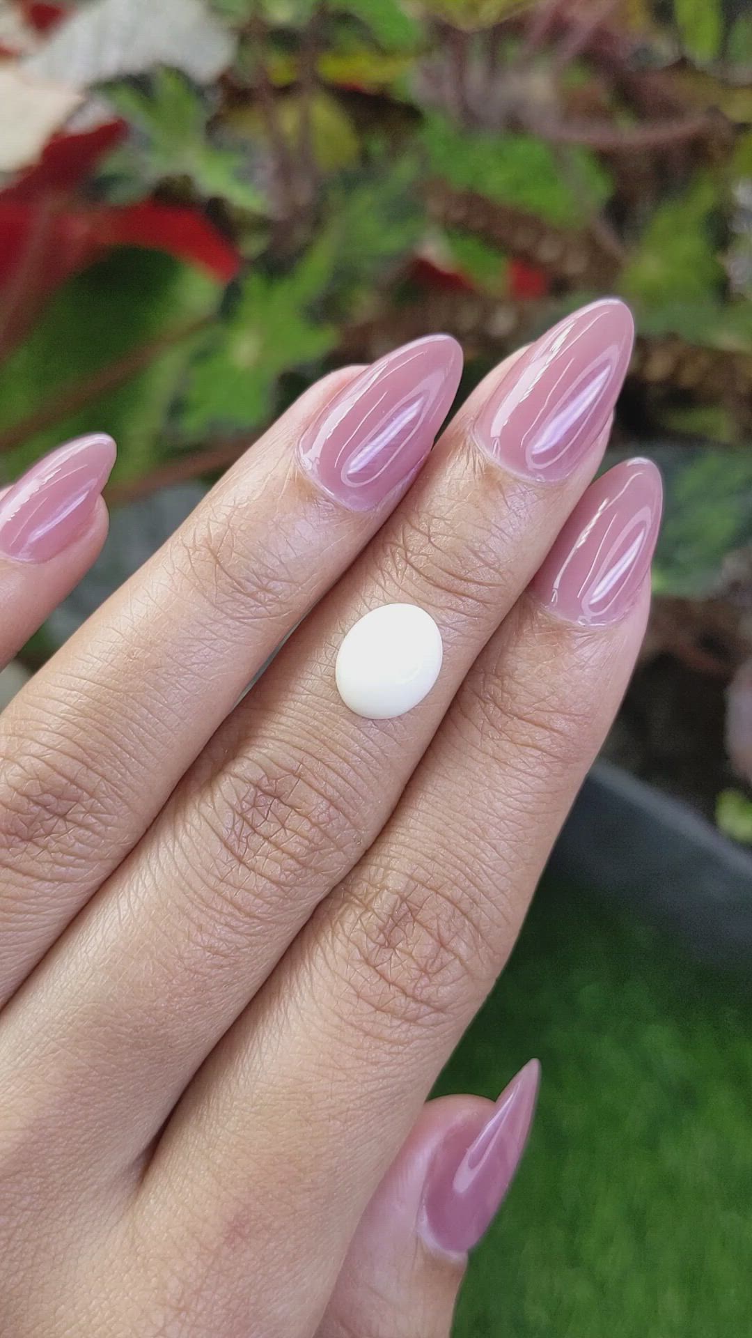 2.37 Ct. Salmon and White Cabochon Coral from Italy Size Video