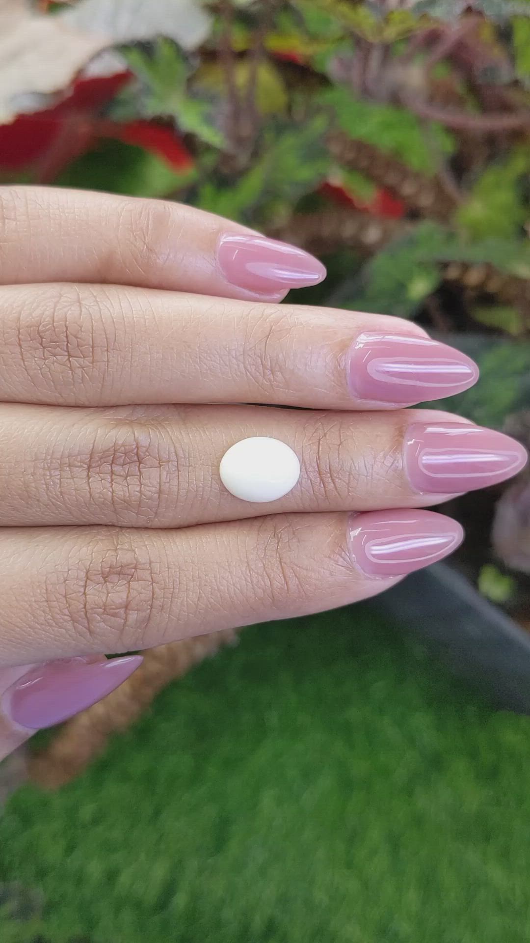 2.37 Ct. Salmon and White Cabochon Coral from Italy Size Video