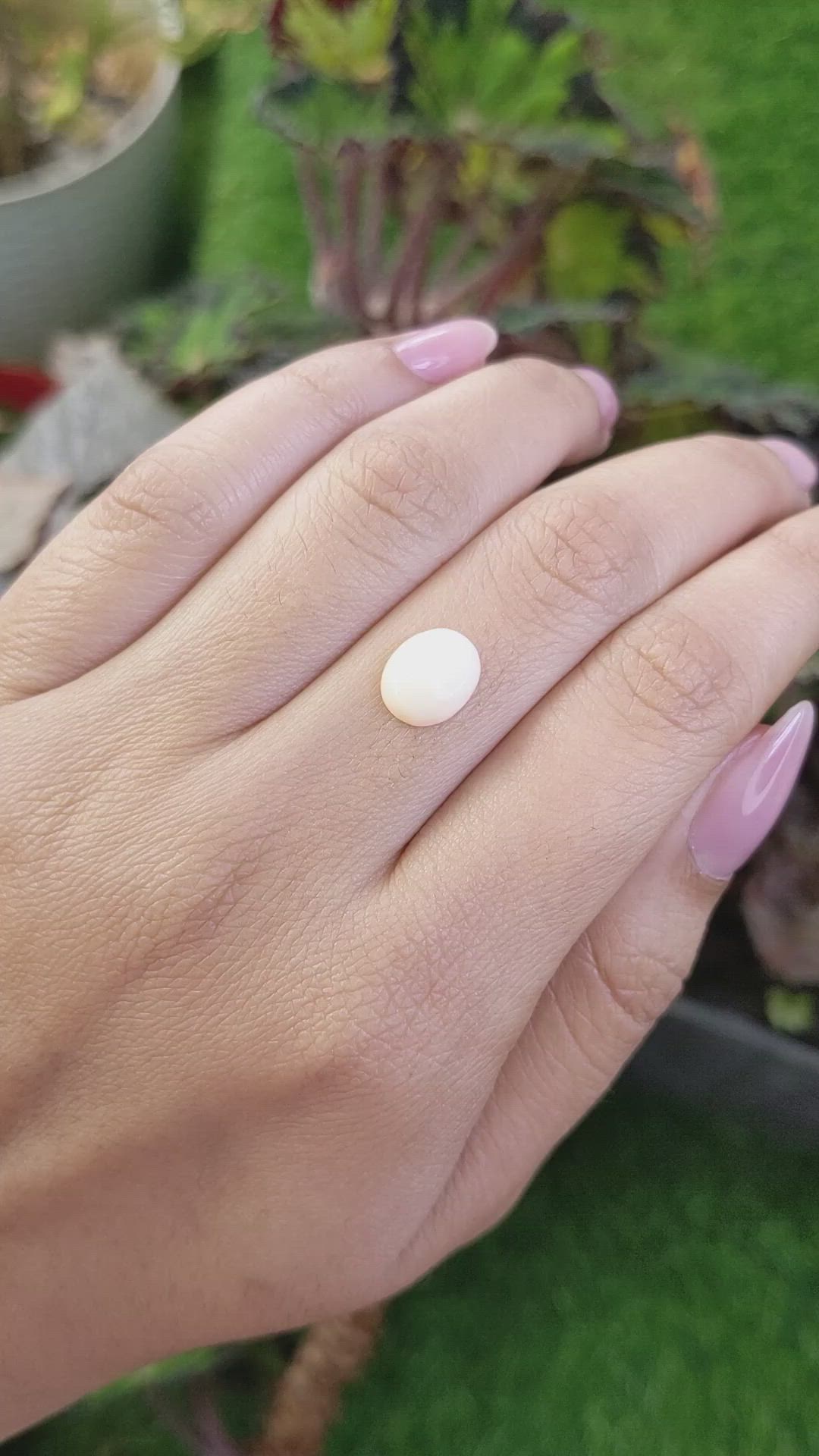 2.07 Ct. Salmon and White Cabochon Coral from Italy Size Video