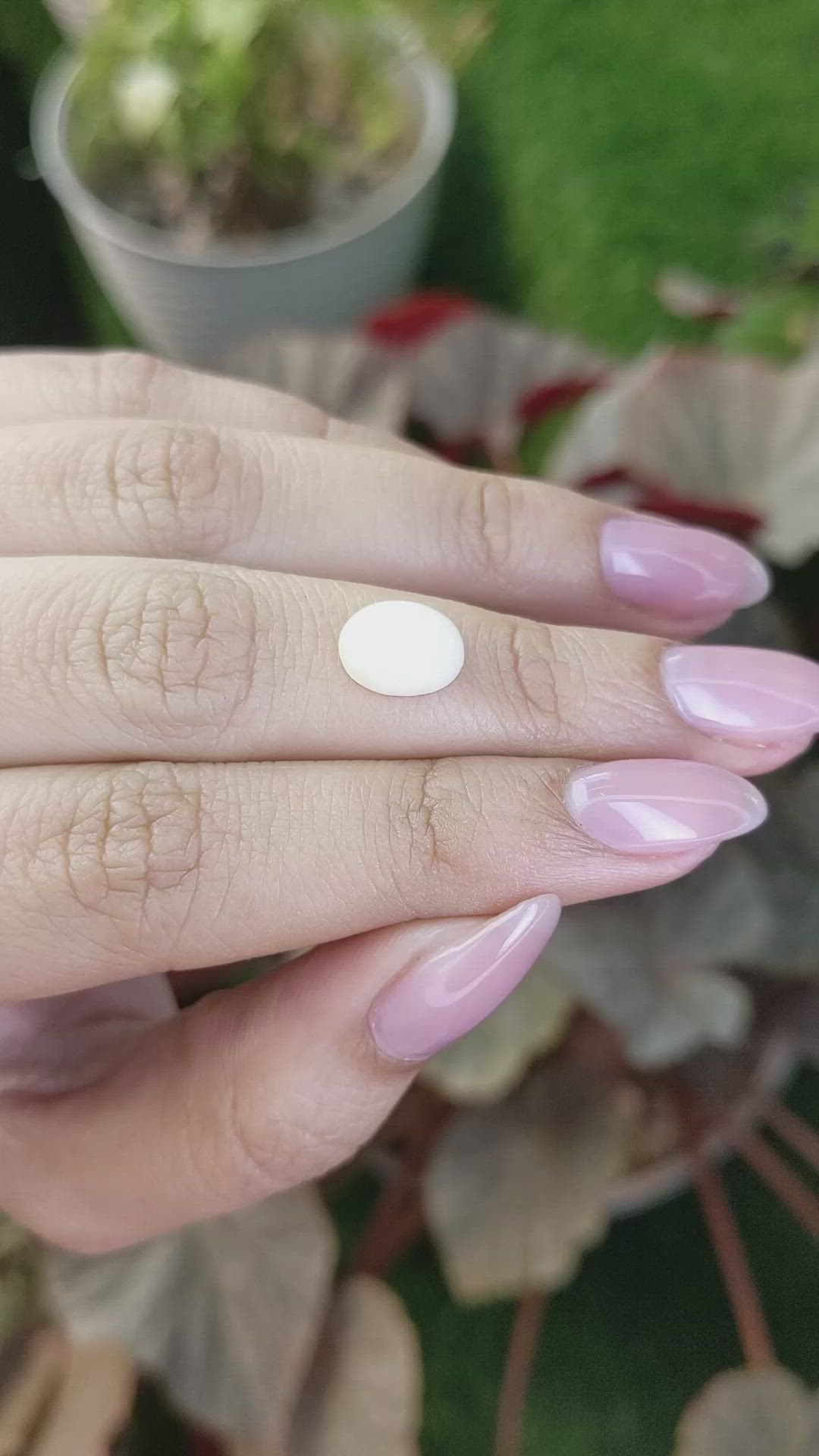 2.07 Ct. Salmon and White Cabochon Coral from Italy Size Video