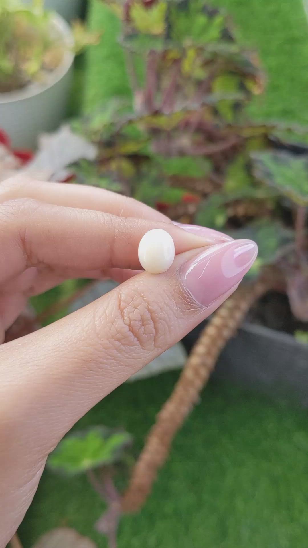 2.07 Ct. Salmon and White Cabochon Coral from Italy Size Video