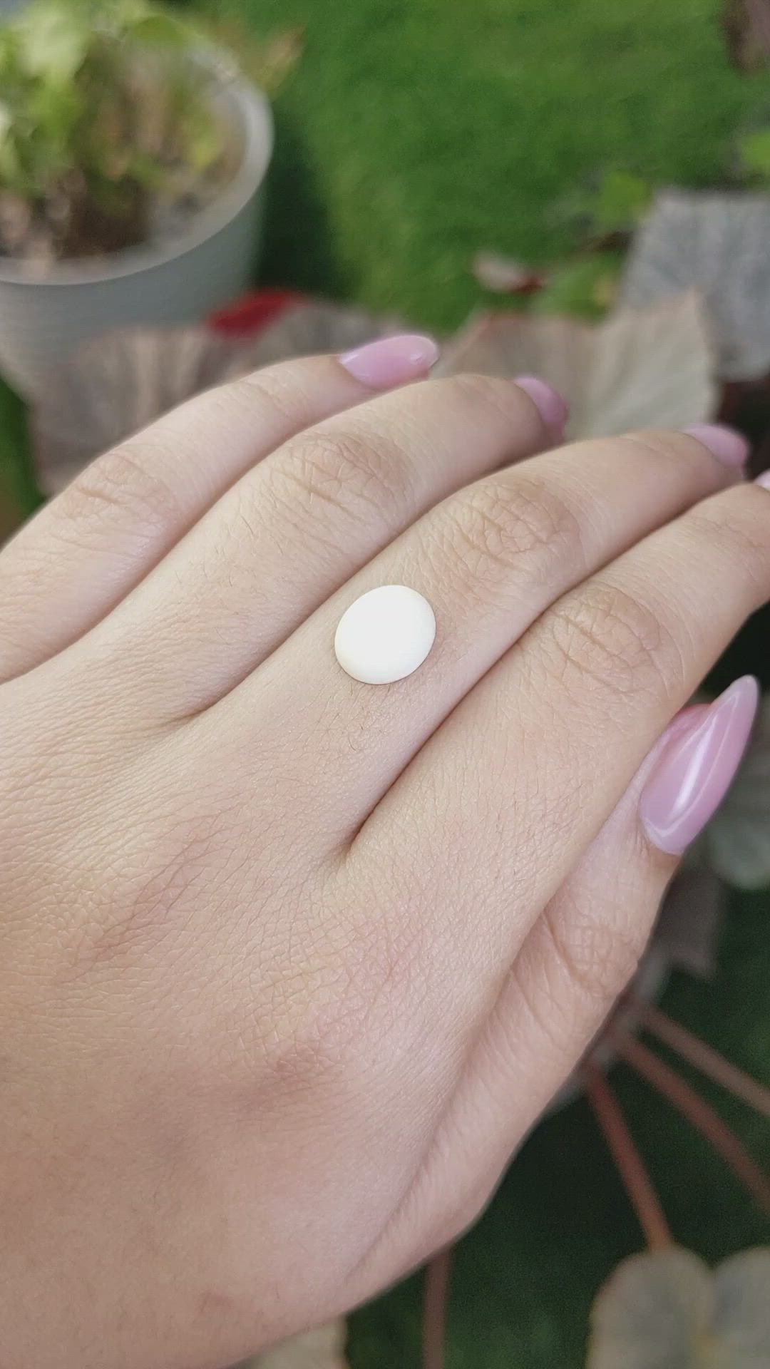 3.16 Ct. Salmon and White Cabochon Coral from Italy Size Video