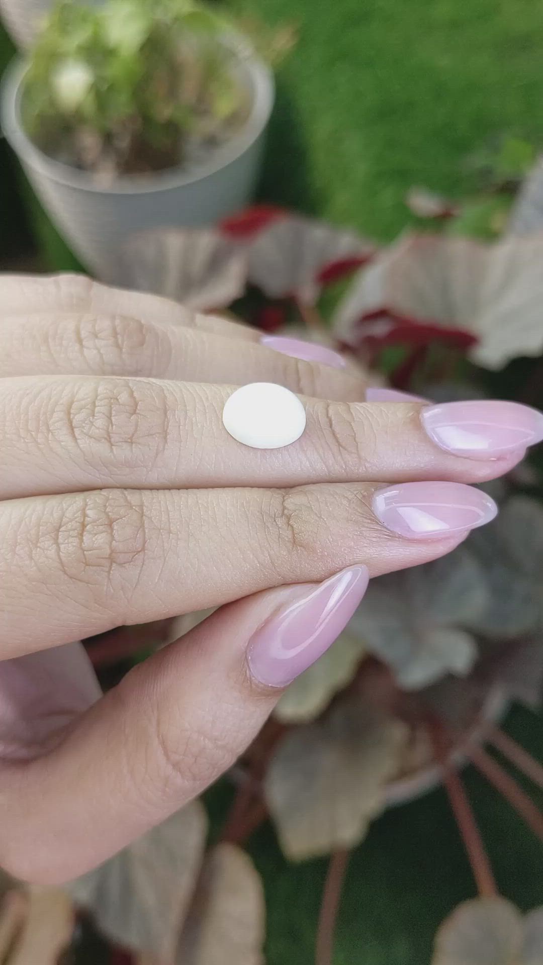 3.16 Ct. Salmon and White Cabochon Coral from Italy Size Video