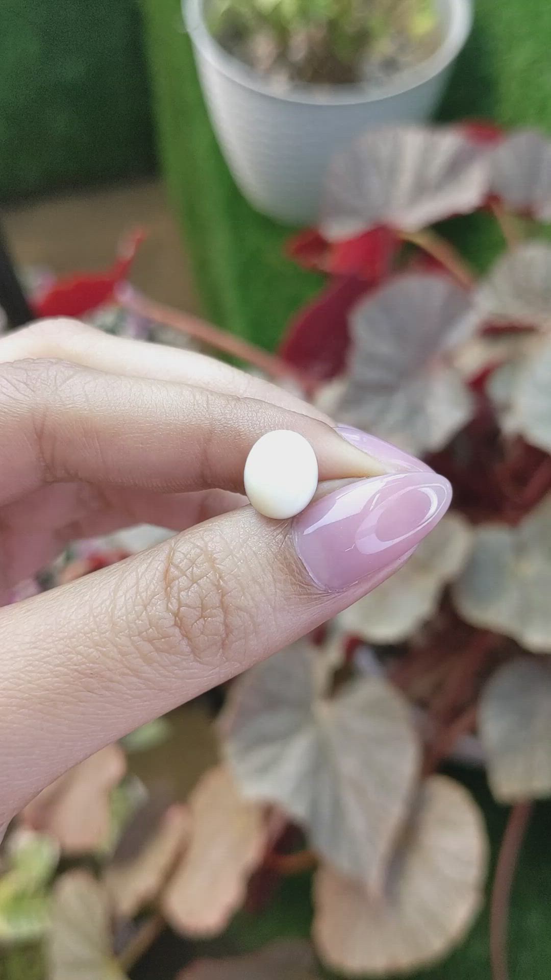 3.16 Ct. Salmon and White Cabochon Coral from Italy Size Video