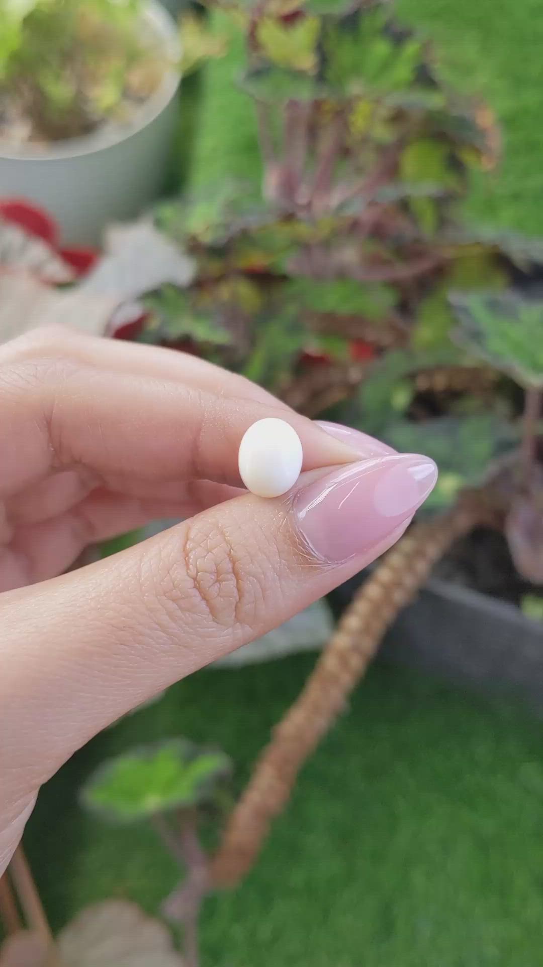 2.79 Ct. Salmon and White Cabochon Coral from Italy Size Video