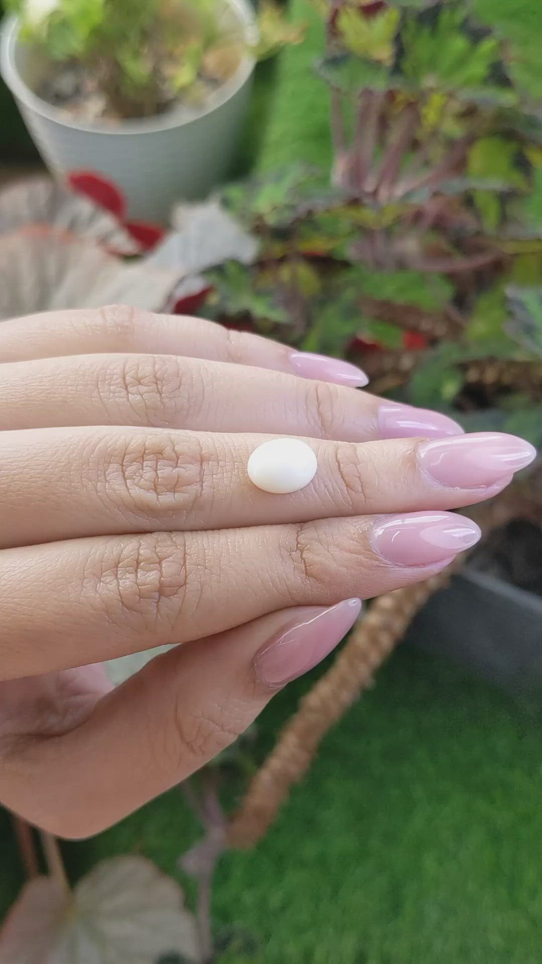 2.79 Ct. Salmon and White Cabochon Coral from Italy Size Video