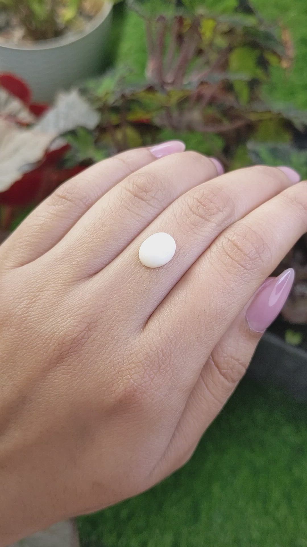 2.79 Ct. Salmon and White Cabochon Coral from Italy Size Video