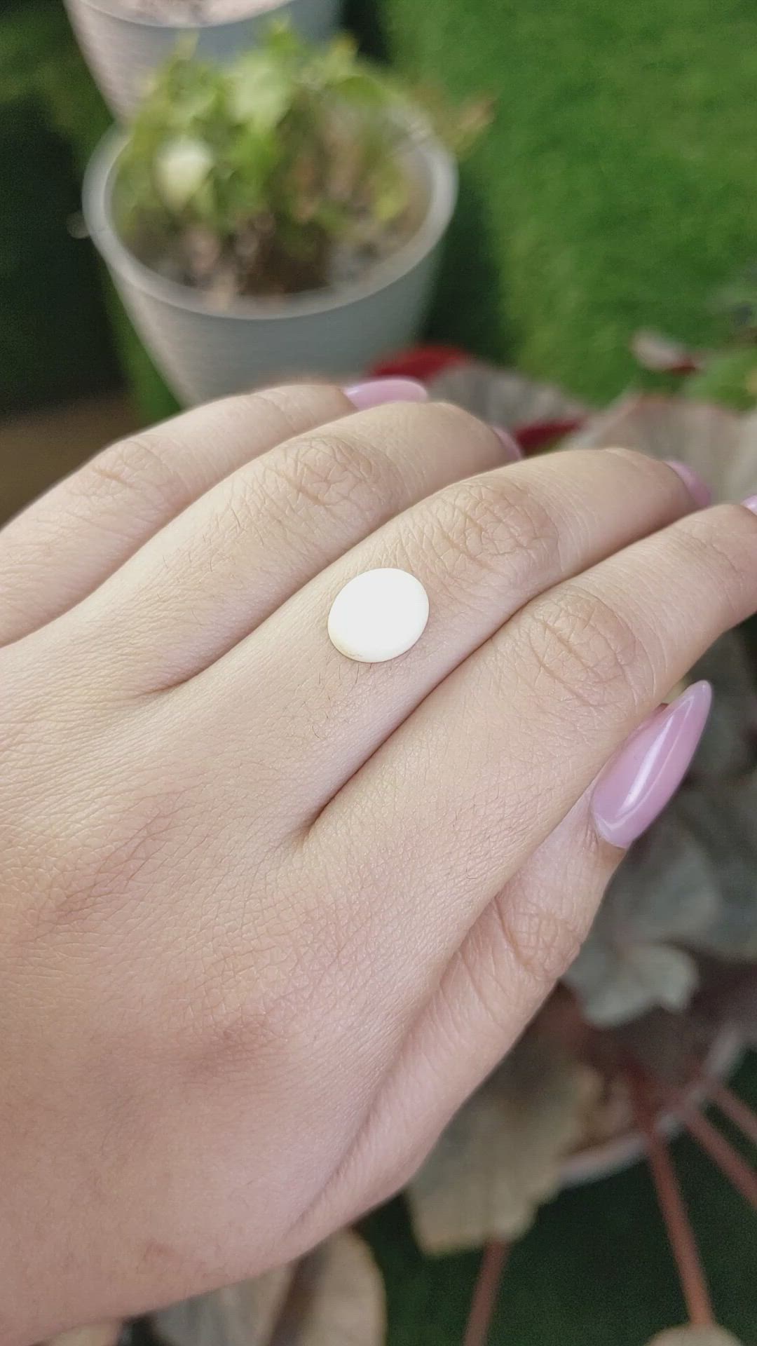 3.42 Ct. Salmon and White Cabochon Coral from Italy Size Video