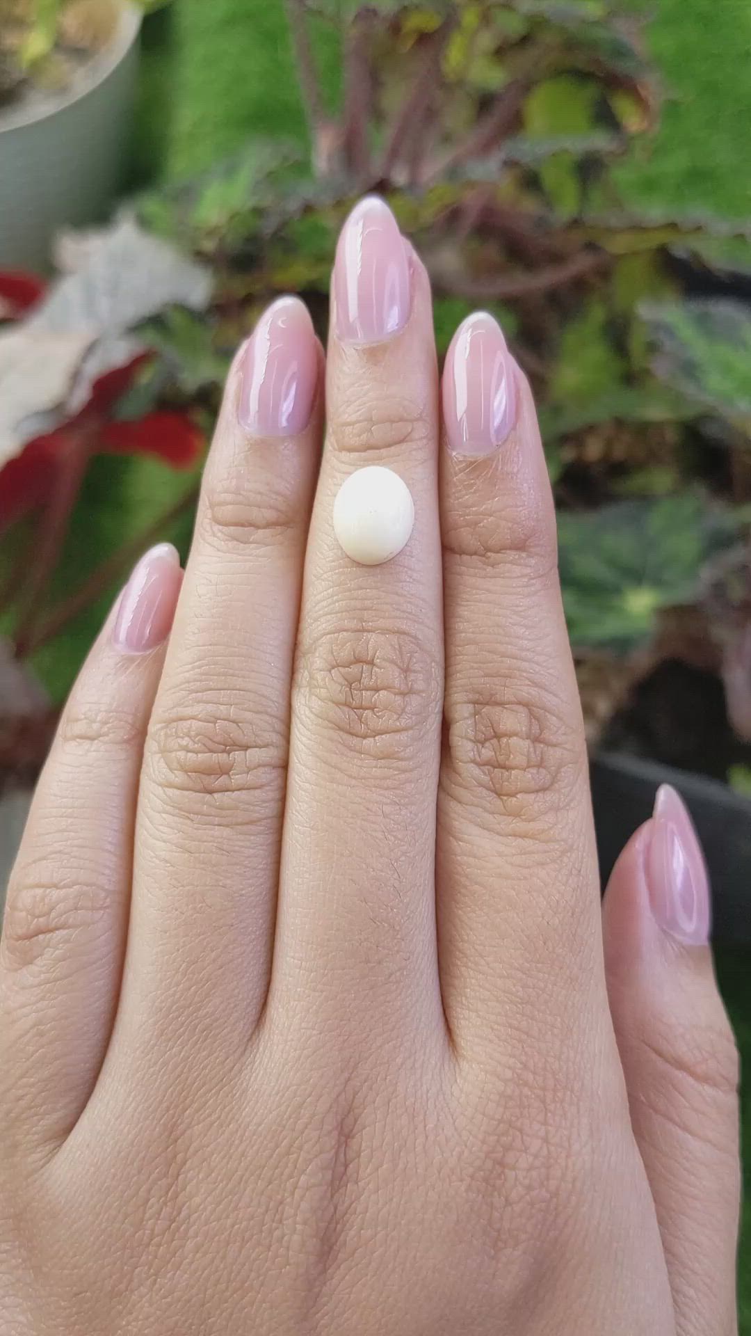 3.42 Ct. Salmon and White Cabochon Coral from Italy Size Video