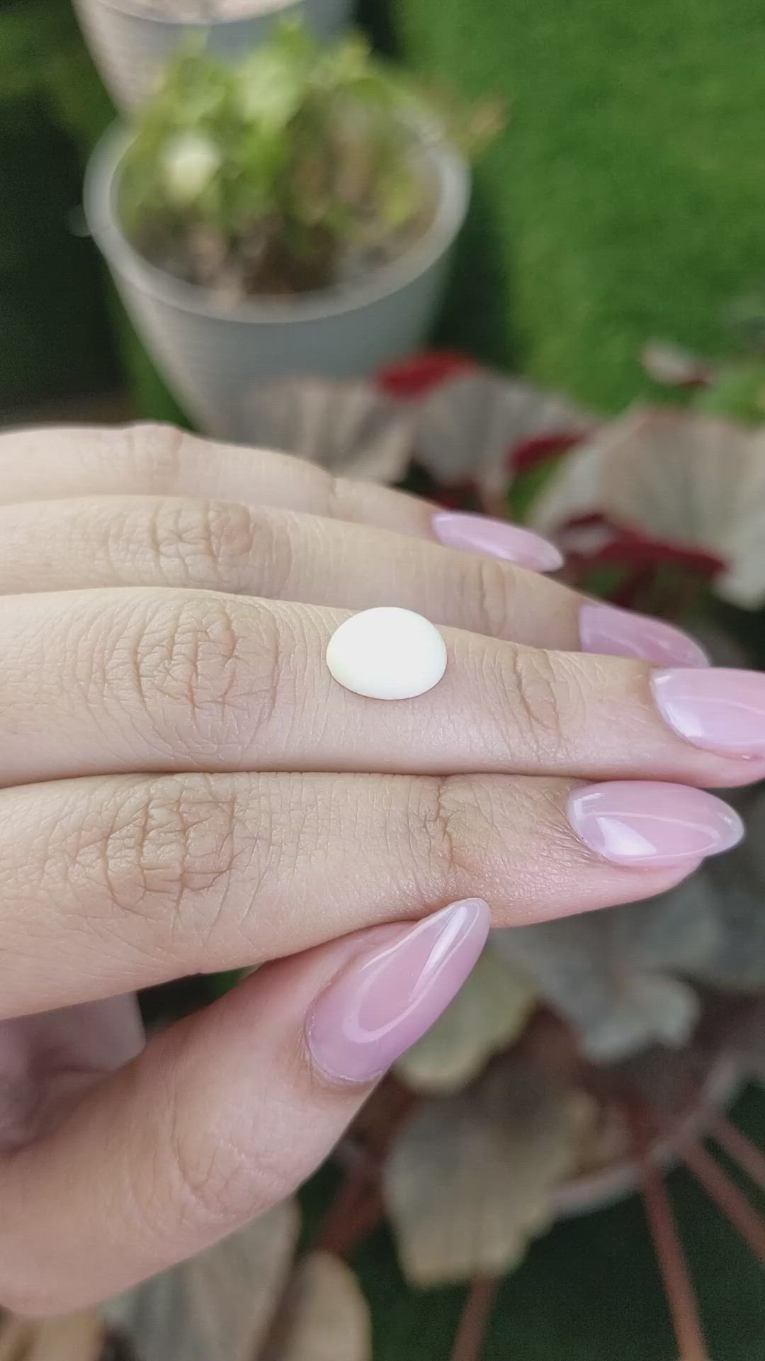 2.91 Ct. Salmon and White Cabochon Coral from Italy Size Video