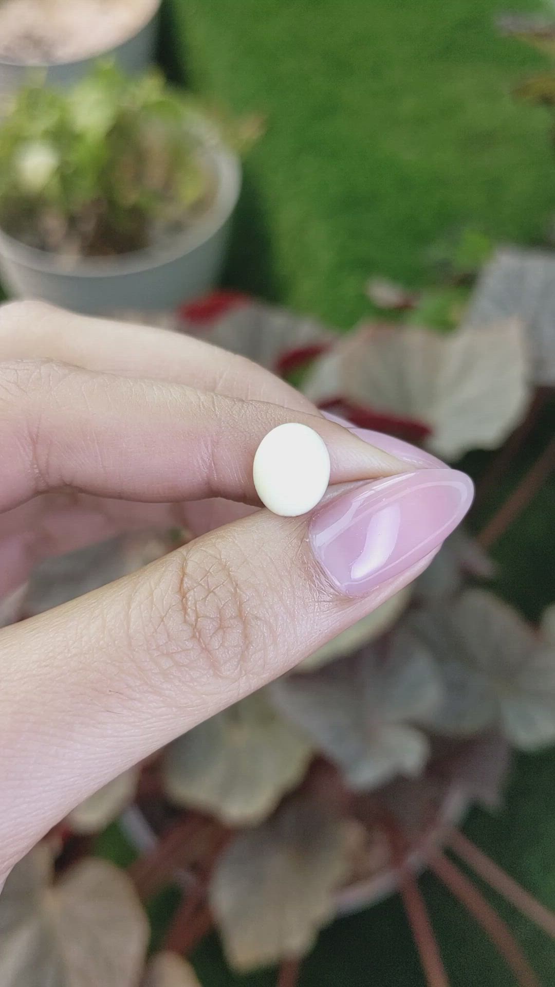2.91 Ct. Salmon and White Cabochon Coral from Italy Size Video