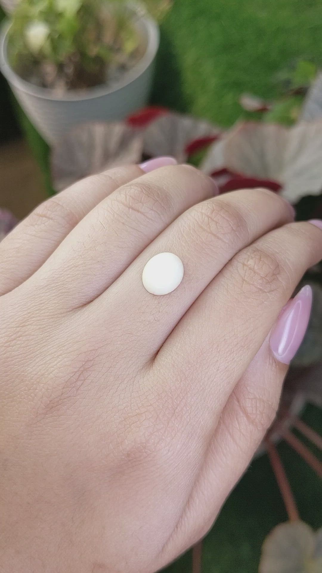 2.91 Ct. Salmon and White Cabochon Coral from Italy Size Video