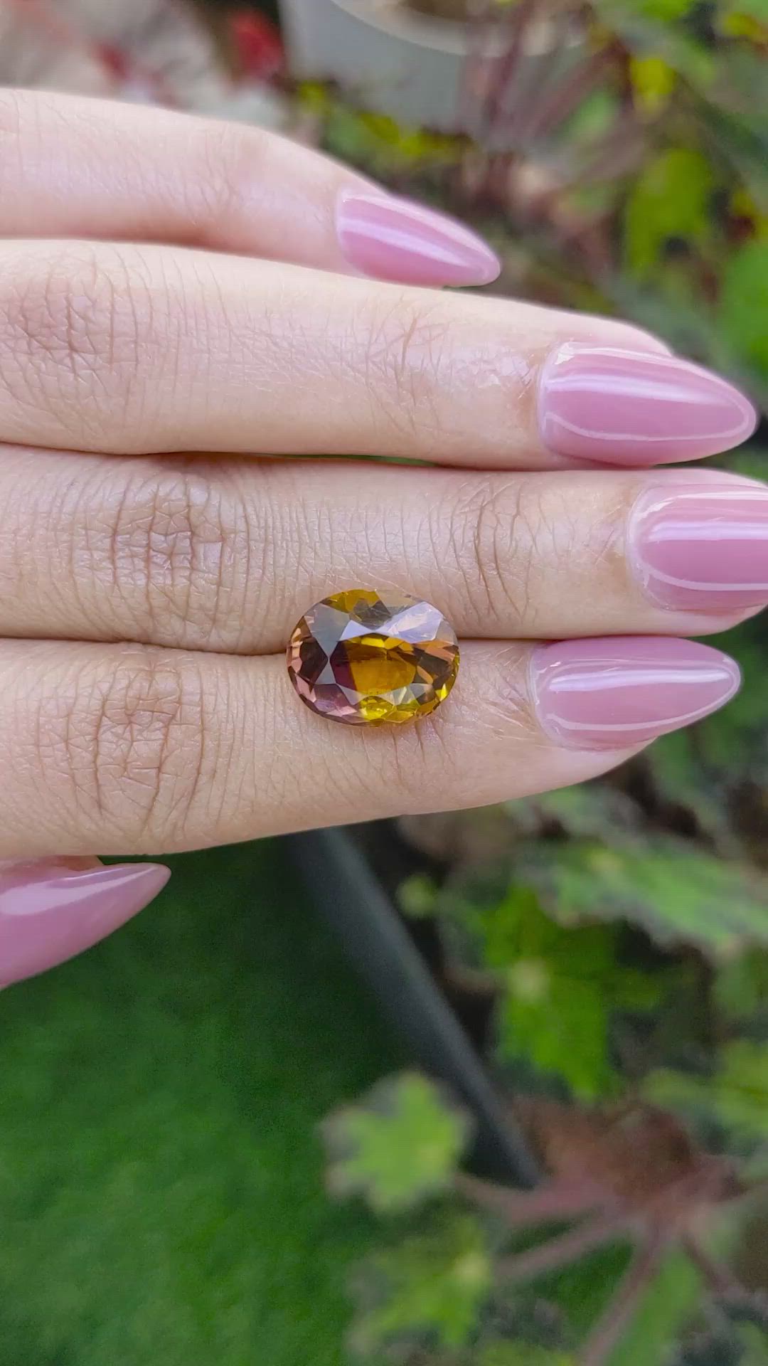 6.12 Ct. Bi Color Ametrine from Brazil Size Video