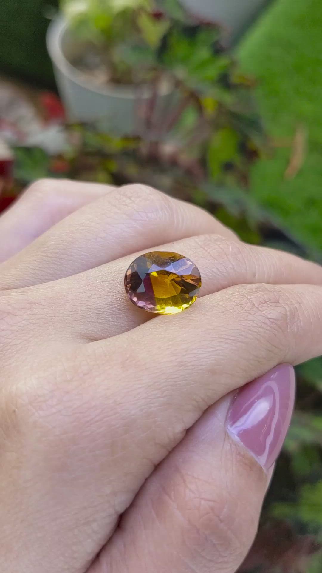 6.12 Ct. Bi Color Ametrine from Brazil Size Video