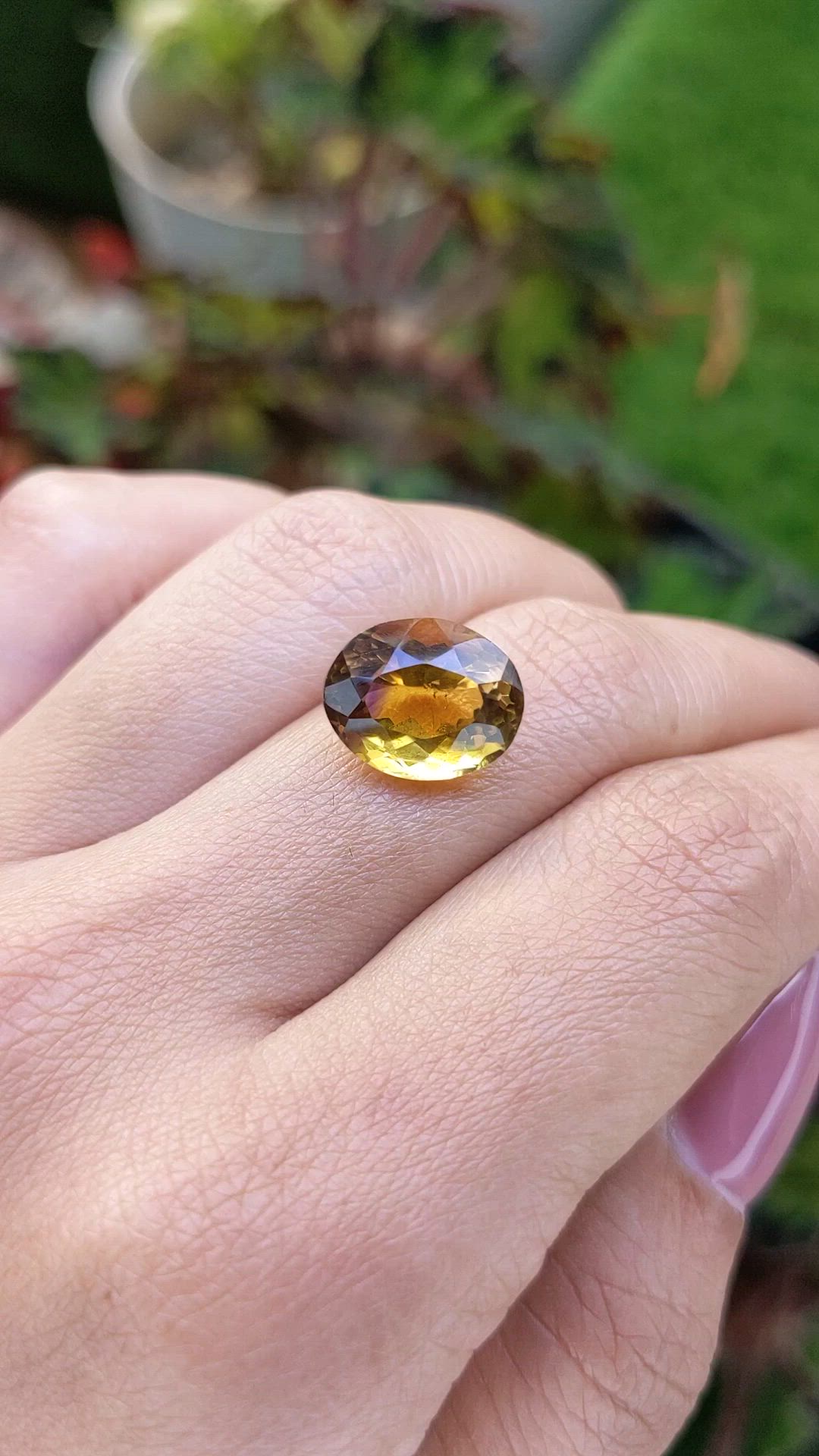 5.95 Ct. Bi Color Ametrine from Brazil Size Video