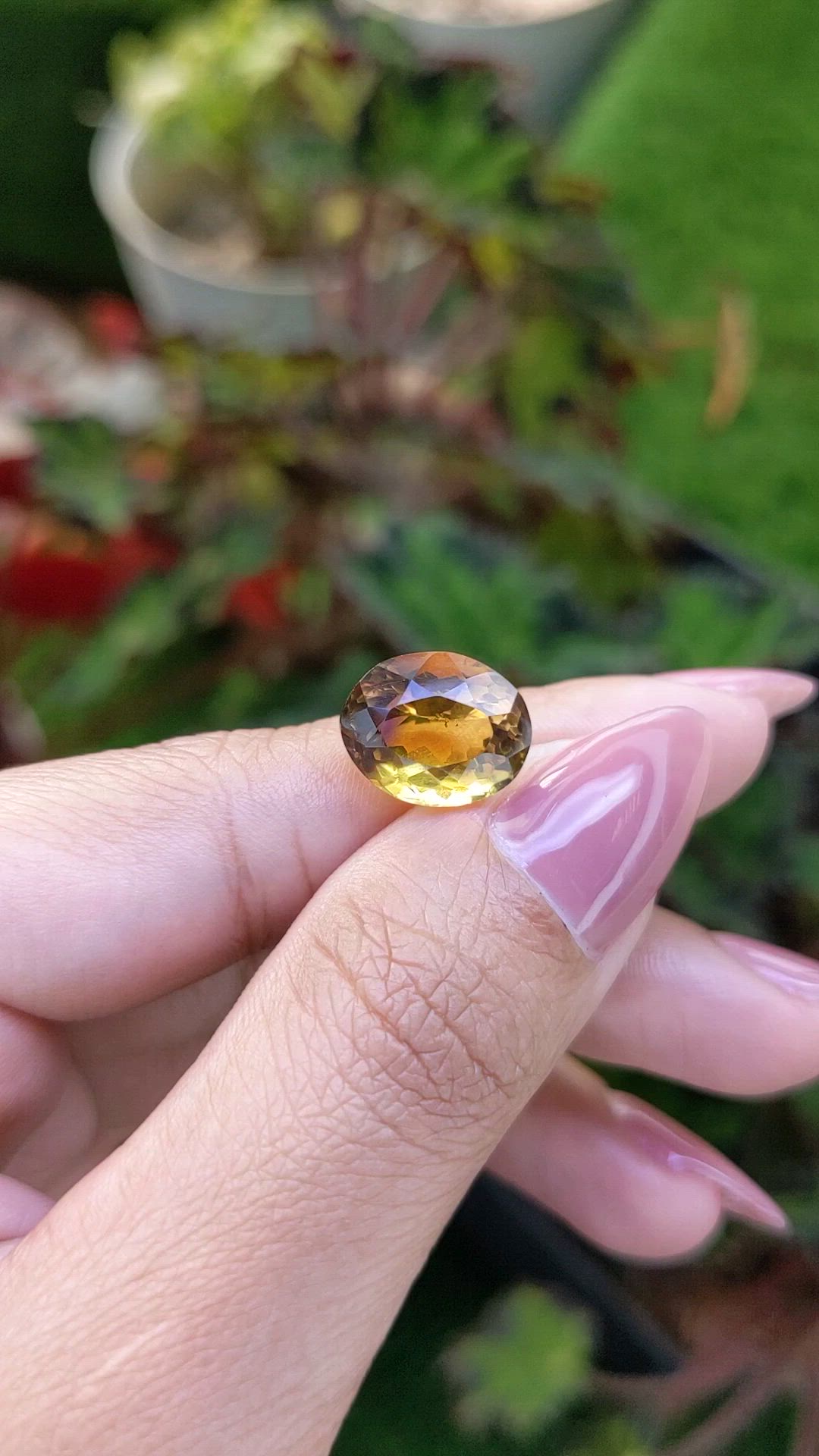 5.95 Ct. Bi Color Ametrine from Brazil Size Video
