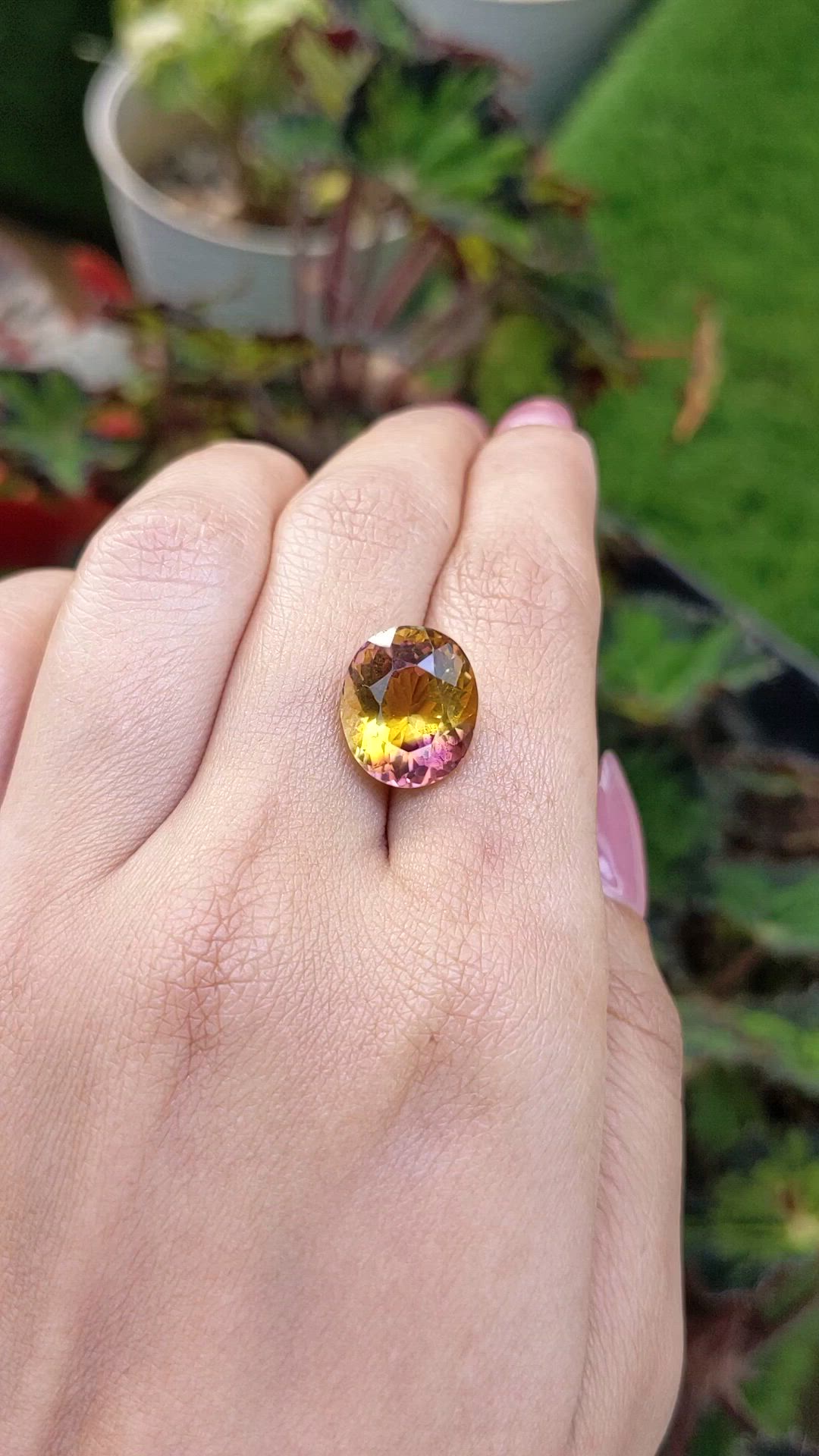 8.17 Ct. Bi Color Ametrine from Brazil Size Video