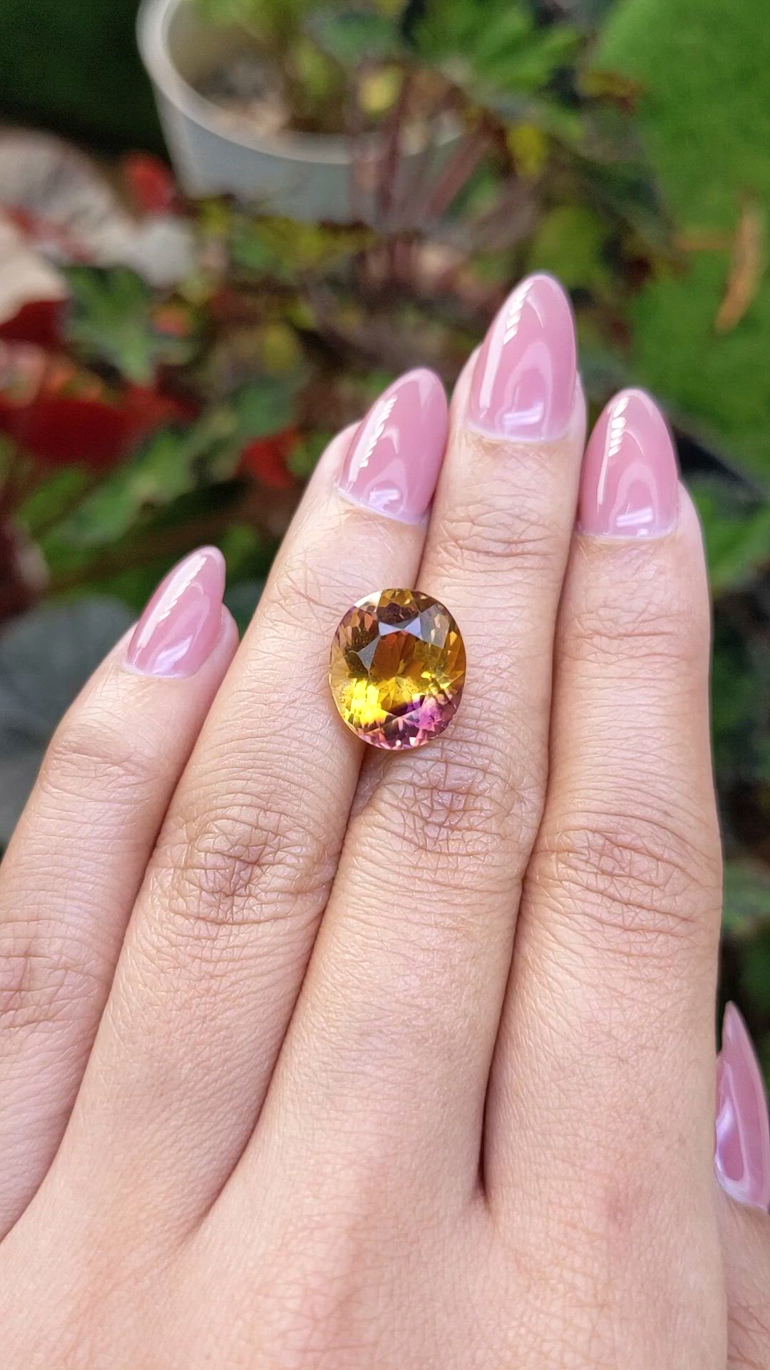 8.17 Ct. Bi Color Ametrine from Brazil Size Video