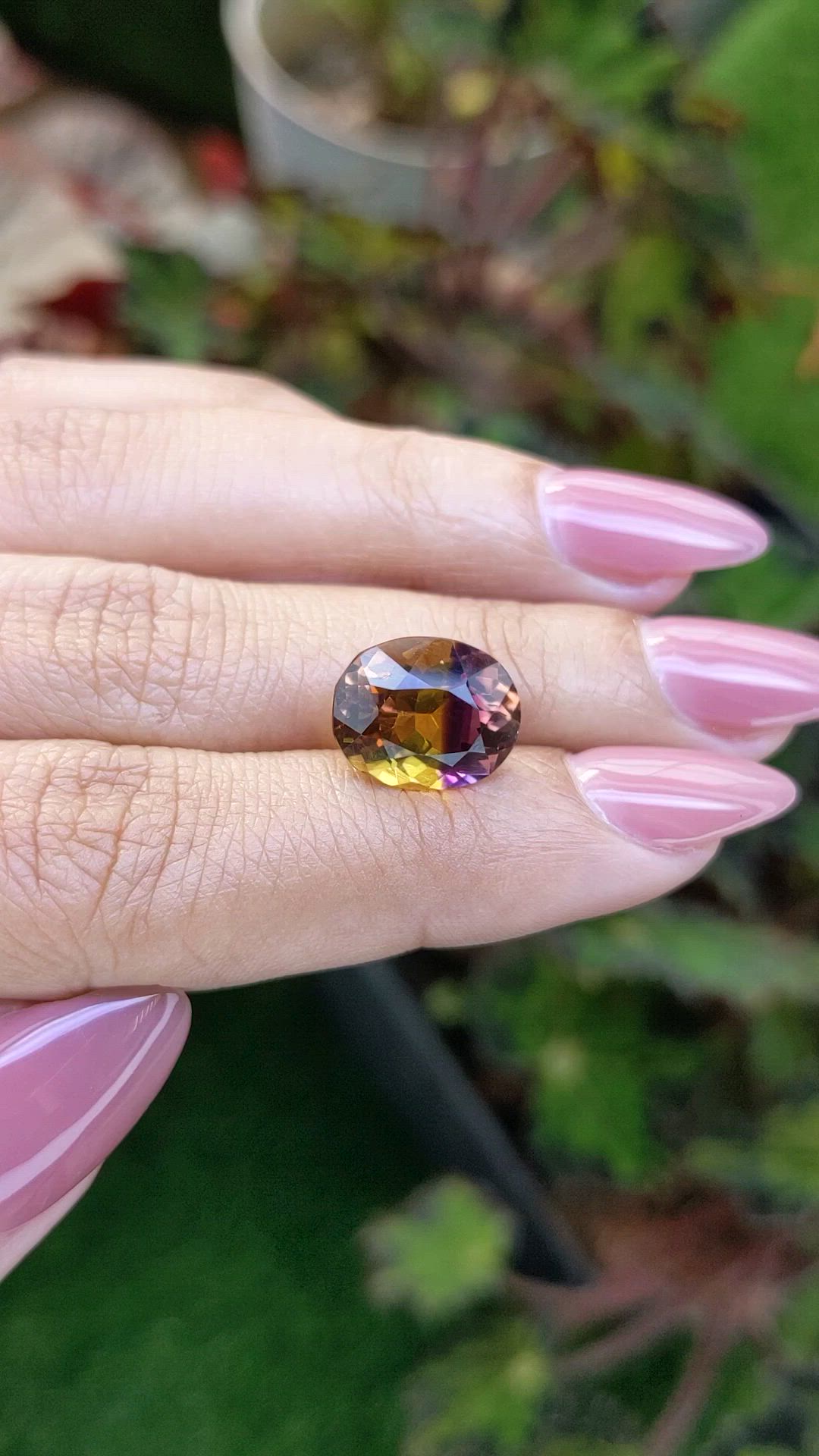 5.53 Ct. Bi Color Ametrine from Brazil Size Video