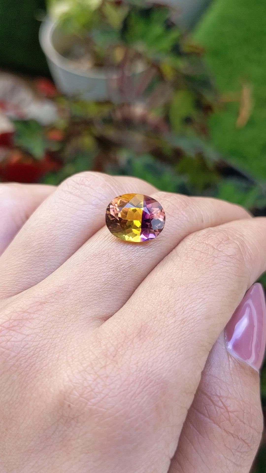 5.53 Ct. Bi Color Ametrine from Brazil Size Video