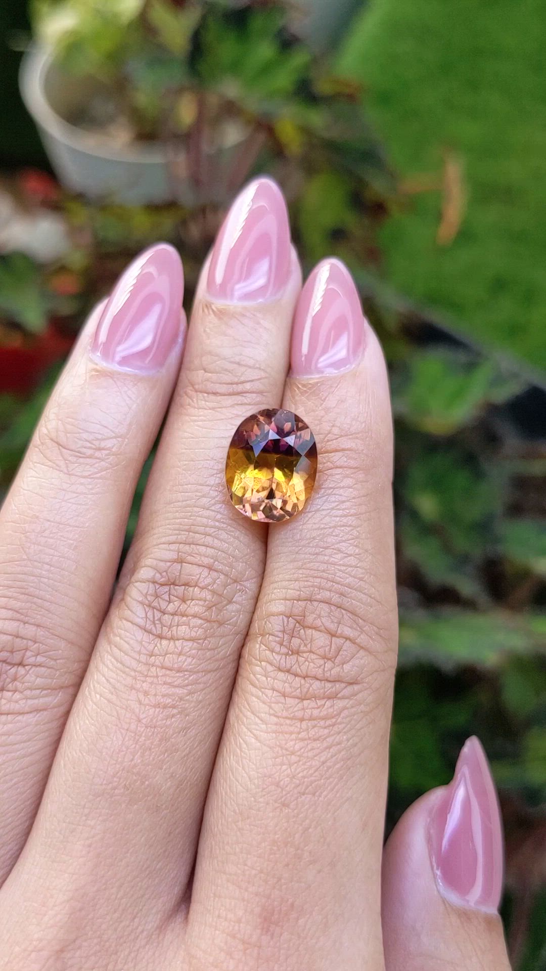 5.53 Ct. Bi Color Ametrine from Brazil Size Video