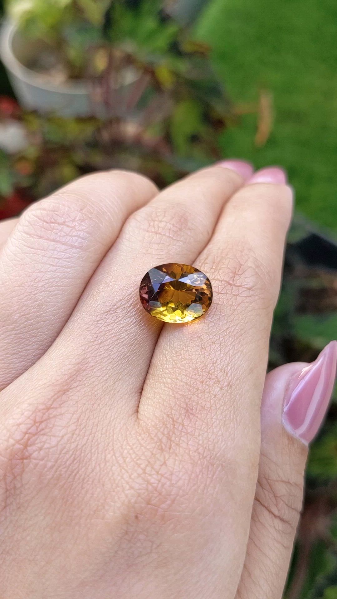 5.48 Ct. Bi Color Ametrine from Brazil Size Video